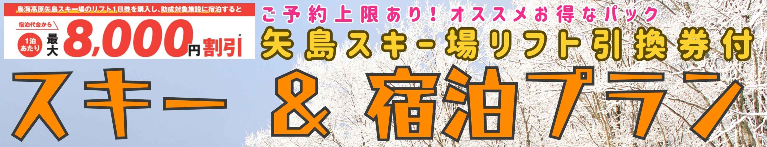 2026矢島スキー場リフト券付プラン